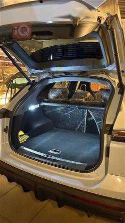 جيتور داشينج